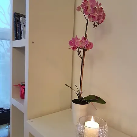 Appartement Rotermanni Guest