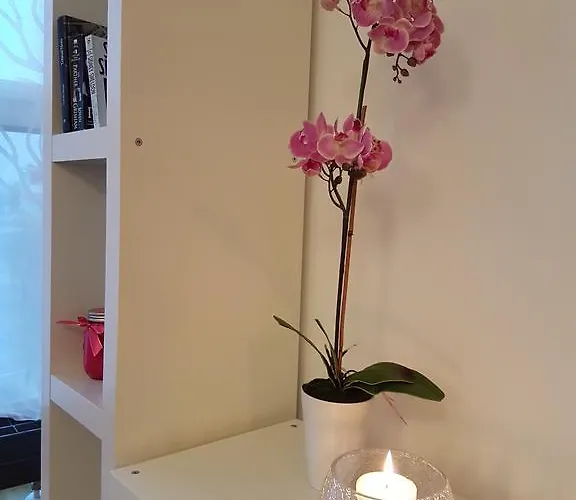 Apartmán Rotermanni Guest